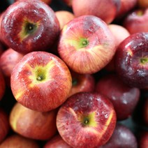 주스용 쥬스용 사과 착즙용 10kg, 주스용사과10kg