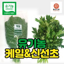 유기농 케일 신선초 친환경 녹즙재료 녹즙용 채소 클랜즈 주스용 샐러드용 농장 산지직송, 유기농신선초1kg, 5개