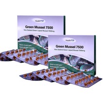 헬스업 그린 머슬 7500 뉴질랜드 초록입홍합 오일 HealthUP Green Mussel 60캡슐 2개, 1개, 기본