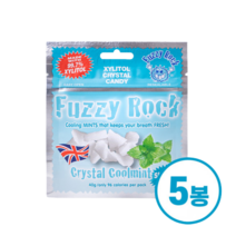 퍼지락 자일리톨 캔디 쿨민트맛 40g x 5개 묶음