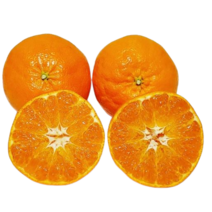 레드향 제주도 고당도 가정용 흠과 3kg 5kg, 대과5kg