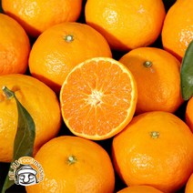 블루제주 서귀포 귤로향 4kg (소과 32-45과 실속포장 실중량), 단품