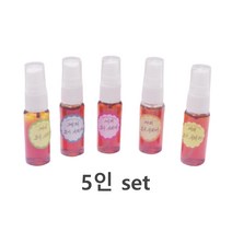과학실험 계피추출액 모기기피제 DIY 5인 실습완구 만들기세트 엄마표 홈스쿨