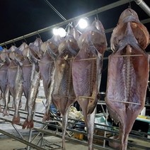 거제 외포 반건조대구 소중대 특품, 건대구[중], 모양유지손질