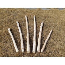 자작나무가지 행인플랜트 가랜드만들기 꽃걸이, 20cm