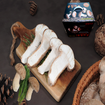 송향버섯(송화 송고버섯 착한 송이버섯), 1박스, 선물용(일품)1kg