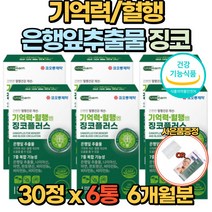 뇌 영양제 징코 기억력 혈행 은행잎추출물 30정 150mg 두뇌 건강 비타민 B1 B2 B6 아연 부모님 수험생 건강기능식품, 6통(6개월)