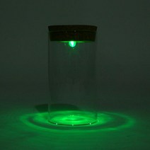쉬가든 테라리움어항 테라리움 유리병 용기 diy 조명
