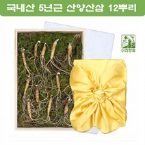 국내산 산양산삼 장뇌산삼 산양삼 산삼장뇌삼 산양산삼주 강원도 5년근 아빠 어른 부모님 남편 선물 12뿌리