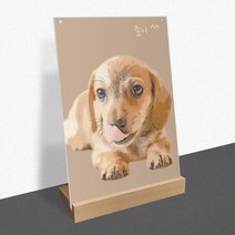 모노치 반려동물 초상화 강아지 고양이 펫아트 그림 탁상액자 무지개다리 생일파티 선물, A4 (210x297mm), 08. L타입 사선우드