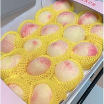 백도 복숭아 꿀당도 말랑 반딱딱이 4kg 특품 털복숭아 국내산 산지직송 농장직송 제철과일 신선 White Peach, 백도 말랑 반딱딱이(18~20과) 4kg, 1개