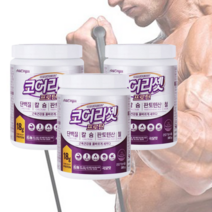 뉴오리진 코어리셋 프로틴 300g 3통 a2밀크 유래 우유 단백질 이승기, 3개