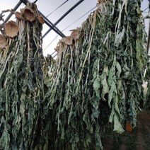 건무우청시레기 유기농 말린 무우 무우청 건 시래기 500g, 1개