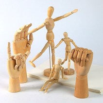 인체구도 드로잉연습 목각 구체관절인형 도구 손30cm