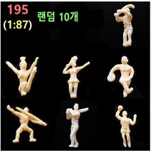 한결모형 한결 인체모형, 옵션 195 (30%DC)