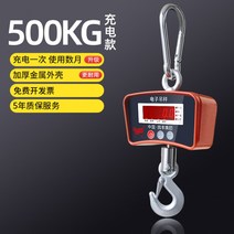 크레인 저울 산업용 매달림 호이스트 저울 2톤 전자축 5t 기어 걸이 전자 500kg, (두꺼운 소재(무료개표) 500kg)