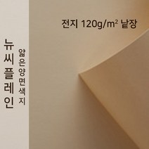 뉴씨플레인 종이문화 얇은 양면색지 120g 전지 낱장 1매 No.56 굴색, 1장