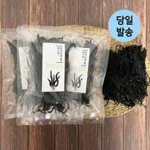 울돌목 완도산 부드러운 한끼미역 20gX5 가정용 냉국용 건미역 무배, 1개