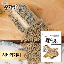 특품 해바라기씨 불가리아산, 1개, 1kg