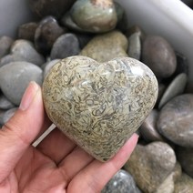 수석 천연석공룡 뼈 화석 심장 천연 돌 부드러운 광택 조약돌 레이키 힐링 차크라 스톤 홈 인테리어, 한개옵션0