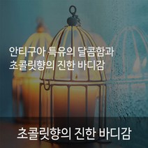 과테말라 안티구아 SHB 원두 커피가루 핸드드립 분쇄원두 로스팅 드립원두 드롭커피 콜드브루원두 1KG, 드립/커피메이커 분쇄