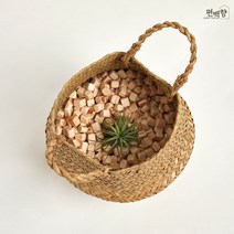 편백향 라탄바구니 편백나무 큐브칩 이오난사 인테리어 화분 커버 바스켓 - 대
