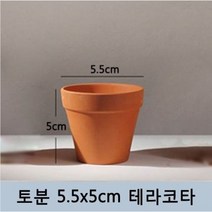 미니 토분 화분 다육이 분갈이 5.5cm, 1개