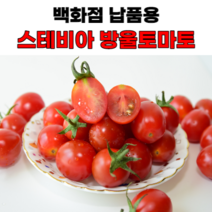 스테비아 하루토망고 방울토마토 꿀마토 1kgX2팩 당일수확 산지직송, 2개