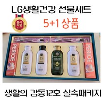 선물세트] 명절 기업 관공서 실속패키지 생활의 감동12호 5+1(쇼핑백포함), 1세트