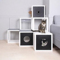 아트박스/큐빅스 고양이 강아지집 136, 화이트, 블랙