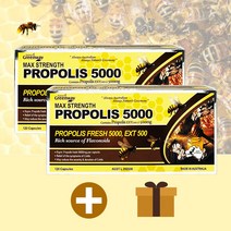 네이쳐스그린웨이 프로폴리스 5000 호주산 프로폴리스 원액 120캡슐 호주 프리미엄 고함량, 2개(18%할인), 2개, 120정