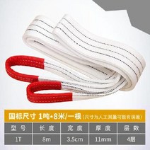 호이스트 크레인 윈찌 전동 1T 윈치 우인치 기중기 체인 유압, 5. 1톤 8미터