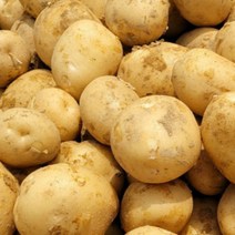 햇 감자 수미 20kg 10kg 5kg 못난이 정품, 10kg 못난이(특), 1개