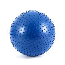 IW 고급 안티버스트 마사지짐볼 65cm, 알라스칸 블루