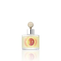 오르브 차량용방향제 디퓨저 120ml, 퍼플비너스