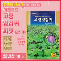 23년산 미래종묘 고령엉겅퀴 씨앗 1g- 국내산 곤드레 씨앗 재래종 엉겅퀴 씨앗 봄가을재배