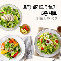 토핑 샐러드 5종 맛보기 세트, 단품
