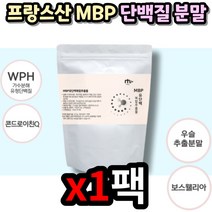 청소년 분리유 단백 프로틴 분말 wph 엠비피 파우치 유청 가수분해 유 단백 MBP 엄비피 가루 파우더 보스웰리아 추출물 홈쇼핑 쉐이크 가성비 간식 어린이 부모님 키즈 노인 추천