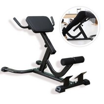 홈짐 백인스텐션 로만체어 허리 코어 운동기구, 백익스텐션, 화이트