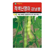 SN월드 씨앗 열매채소 과일채소 모음, 적색난장이강낭콩