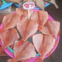 동해 해풍으로 말린 반건조 열기 뽈락 23m 7미 1.6kg