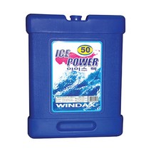 낚시용 빨리어는 플라스틱 아이스팩 1.7L 야외 정육점 재사용 캠핑, 1개