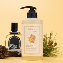 제이엠솔루션 라이프 진저 우드 샴푸, 2개, 500ml