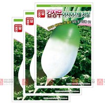 (아시아종묘/무씨앗종자) 아시아가을저장무 (12gx3)