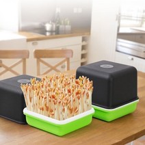 PGM^*^몰새싹 땅콩 콩나물 키우기 기르기 수경 재배기 공나물^*췤pgm, a*^*옵션없슴