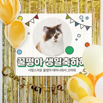 파티스토어 마블(옐로우)풍선+현수막 8종세트(중형포토) _ 생신 회갑현수막 칠순잔치현수막 팔순현수막, 1)♥주문제작♥ A1640_마블풍선(옐로우)+현수막 8종세트