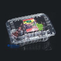 태방파텍 포장용기 TB-101-1.6k [포도 키위 1.6kg] / 과일트레이 과일포장용기 농산물포장 식품포장재