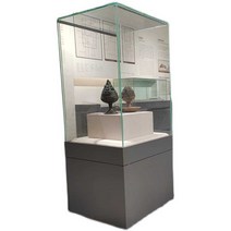 박물관 진열장 전시대 전시장 디스플레이 투명 보관, 50x50x120xcm