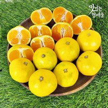 제주 서귀포 하우스귤 감귤 제주도 귤 밀감 3 5 10kg, 1박스, 3kg 대과(L-2L)