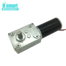 Bringmart-70kg.cm 토크 DC 웜 기어드 모터 12V 24V 미니 기어 박스 DIY 커튼 기계용 자동 잠금 엔진 반전, 01 12V 12rpm_05 Package five